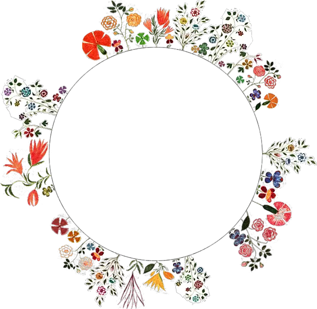 Christmas Tree Lights Clip Border Circle Png Transparent Flower Circle Png