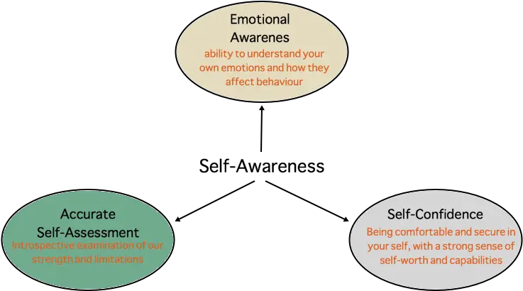 Jordan Peterson Personality Test Transparent Background Self Awareness Leadership Emotional Intelligence Png Jordan Transparent
