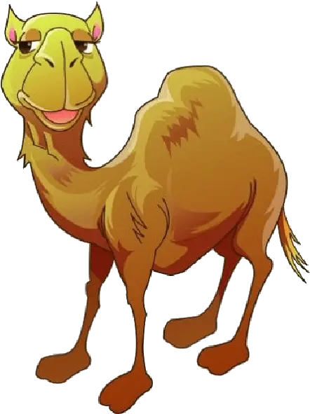 Camel Clipart Camel Png Camel Png