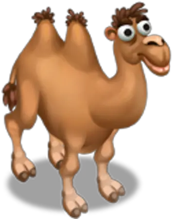 Camel Zoocraft Wiki Fandom Bactrian Camel Png Camel Png