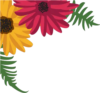 Download Garden Party African Daisy Png Corner Flowers Png