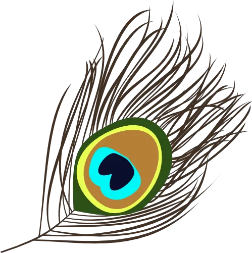 Peacock Png Picture Arts Morpich Png Peacock Png