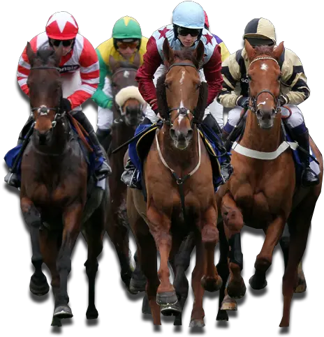 Download Horse Racing Betting Explained Horse Racing Png Race Png