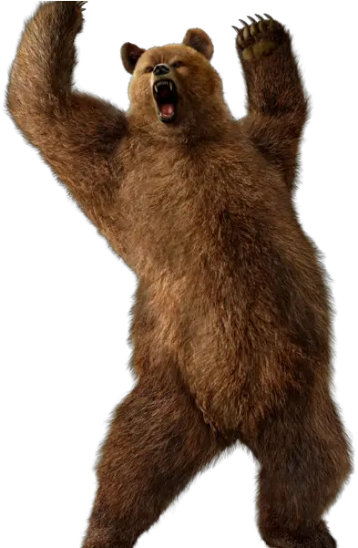 Scary Bear Transparent Bear Png Bear Png