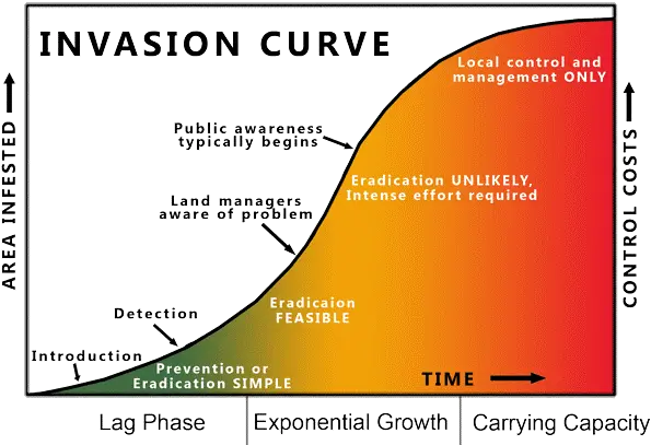 Curve U2013 Moore Farms Botanical Garden Impact Of Invasive Species Png Curve Png