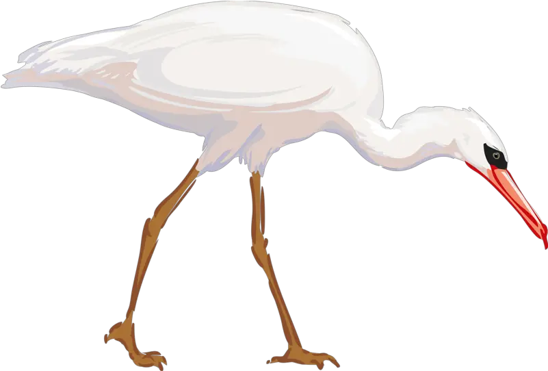 Clipart Animals Crane Transparent Cattle Egret Clipart Png Crane Bird Png