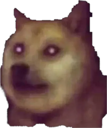 Cursed Dogs Png For Anyone That Wants It Dogelore Dog Dogs Png