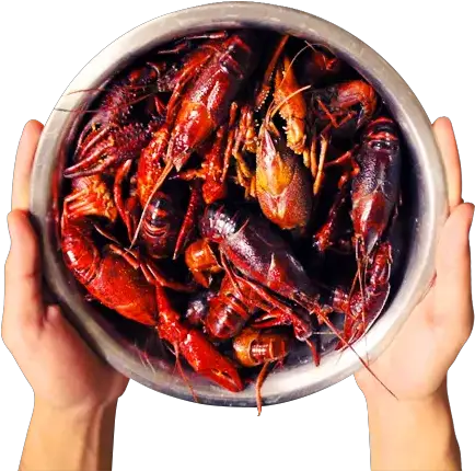 Houston Crawfish Spicy Png Crawfish Icon