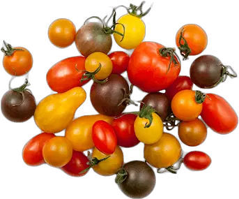 Our Vegetables Red Sun Farms Superfood Png Tomatoes Png