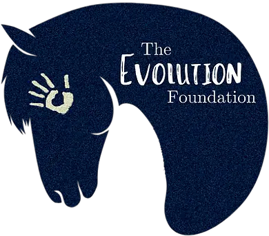 The Evolution Foundation Soft Png Evolution Png