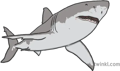 Great White Shark Illustration Great White Shark Describing Adjectives Png Great White Shark Png