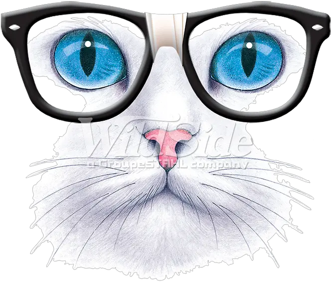 Download Hd Blue Eyed Cat With Nerd Glasses Cat With Cat Face Glasses Png Nerd Glasses Png