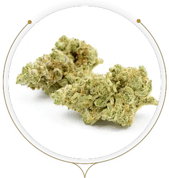 Flowers The Sanctuary Slush Strain Png Cannabis Flower Icon