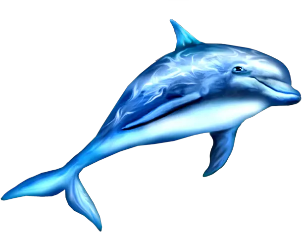 Transparent Png Dauphin Png Dolphin Png