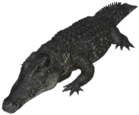 Black Caiman Official Green Hell Wiki Black Caiman Png Alligator Png