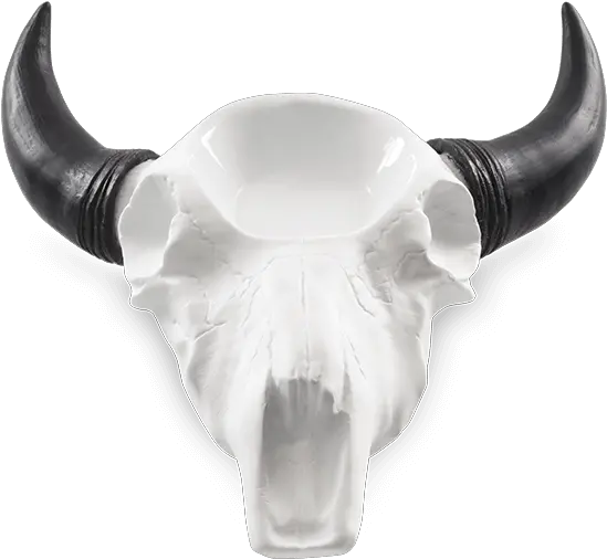 Scentsy Cow Skull With Horns Warmer Scentsy Bull Skull Warmer Png Cow Skull Png