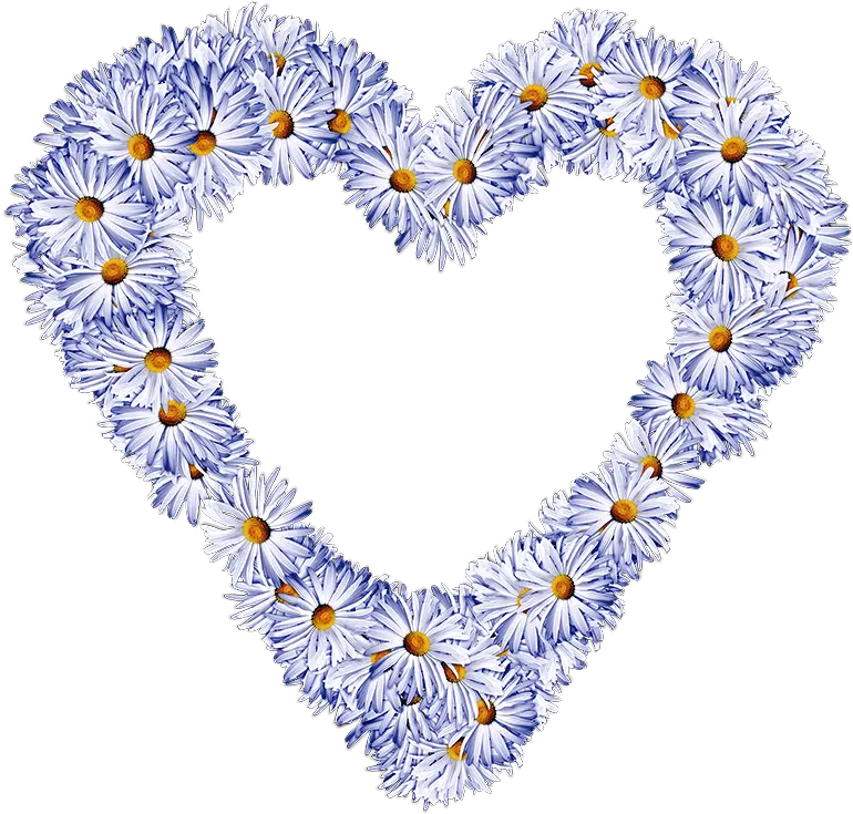 Heart Wreath Png Transparent Without Background Image Free Heart Flower Daisies Flower Wreath Png