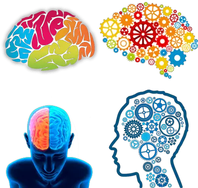 Brain Transparent Png Images Automaticity In Reading Brain Transparent Image