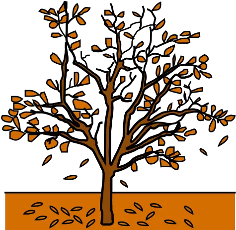 Global Symbols Fall Tree Autumn In Arasaac Dibujo De Otoño A Color Png Fall Tree Png