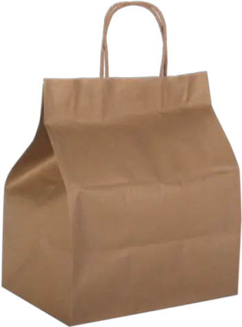 Duro Solid Png Brown Paper Bag Icon