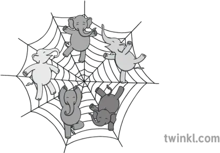 Elephants Balancing Elephant In A Spider Web Png Spider Web Transparent
