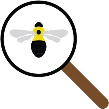 Bumble Bees Of Wisconsin Bee With Magnifying Glass Png Bumblebee Icon