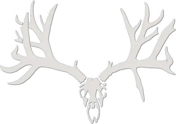 Whitaker Brothers Hunting Under Armour Hunting Logo Black Png Deer Hunting Logo