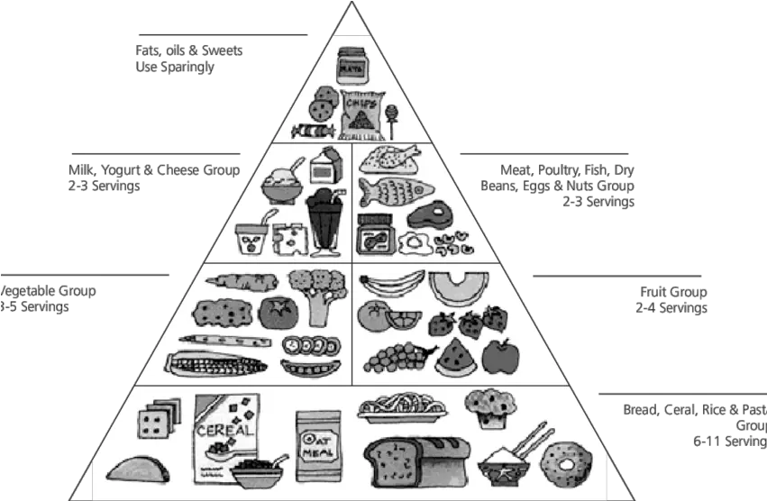 Food Guide Pyramid Food Groups Grade 3 Png Food Pyramid Png