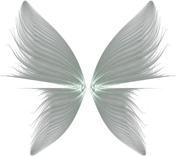 Butterfly Drawing Feather Transparent Background Angel Wings Png Butterfly Wings Png