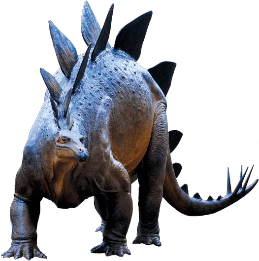 Full Size Png Image Animal Figure Triceratops Png