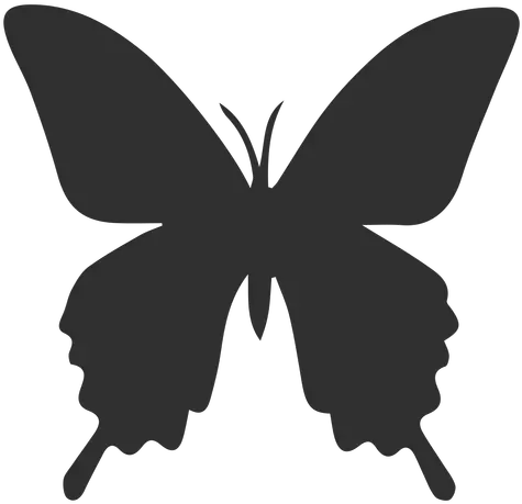 Brush Footed Butterflies Butterfly Silhouette Insect Moth Airbrush Butterfly Stencil Png Butterfly Silhouette Png