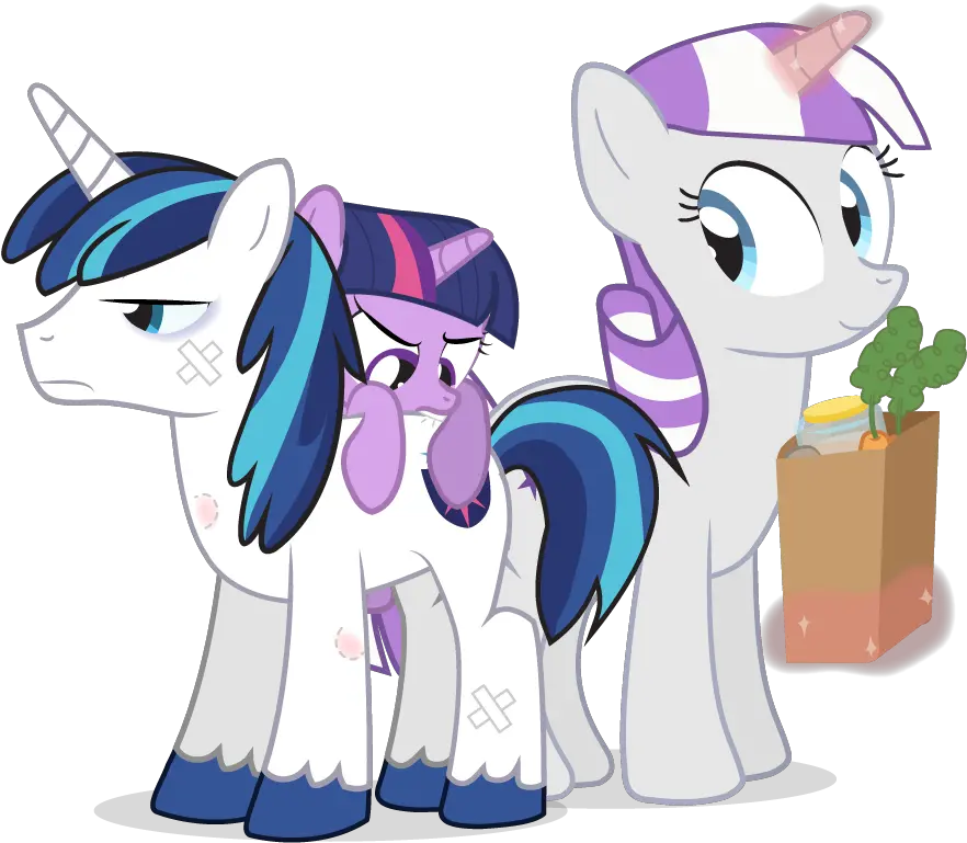 Download Dm29 Bandage Bite Mark Twilight Sparkle And Shining Armor Png Bite Mark Png