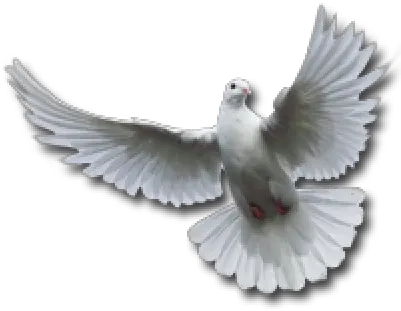 Spirit Png And Vectors For Free Download Dlpngcom Transparent Holy Spirit Dove Png Holy Spirit Png