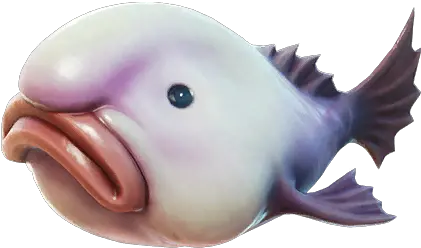 Stink Fish Fortnite Tracker Blob Fish In Fortnite Png Dory Icon