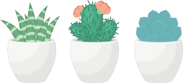 Trio Of Succulents In Adobe Illustrator Transparent Succulent Clip Art Png Succulent Transparent Background