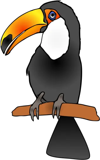 Toucan Png Svg Clip Art For Web Toucan Clipart Toucan Png