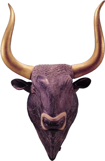 T Bull Png Bull Transparent