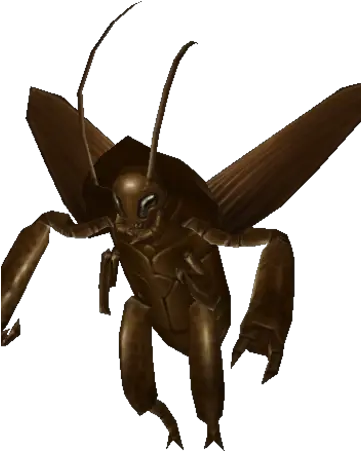 Roach Hornet Png Roach Png