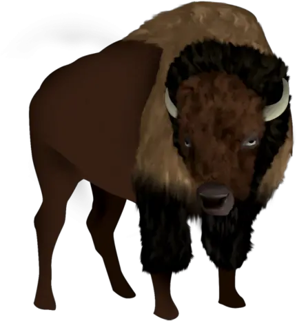 Vector Png Hd 5 Transparent Background Bison Pbg Bison Png