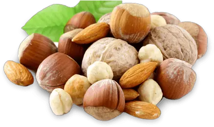 Snacks The Best Organic From Seed Hazelnut Toronto Canada Png Nuts Png