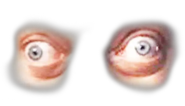 Steve Buscemi Eyes Green Eye Png Steve Buscemi Png