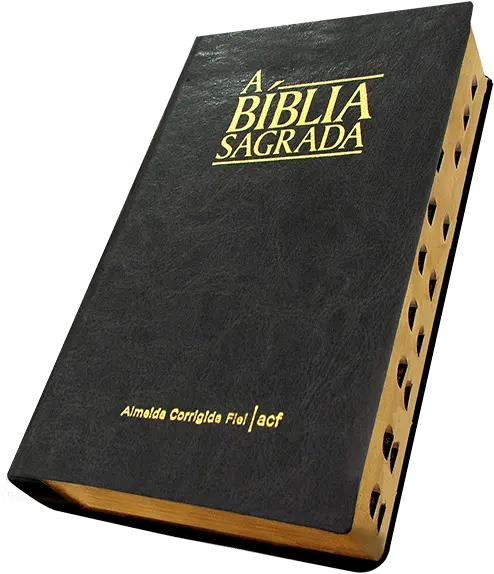 Bíblia Napa Luxo Média Preta Magento Png Biblia Png