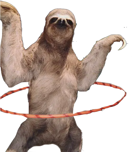 Download Sloth Png Hd Sloth Png Sloth Png