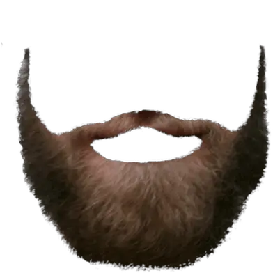 Beards Transparent Png Images Beard Png Beard Transparent