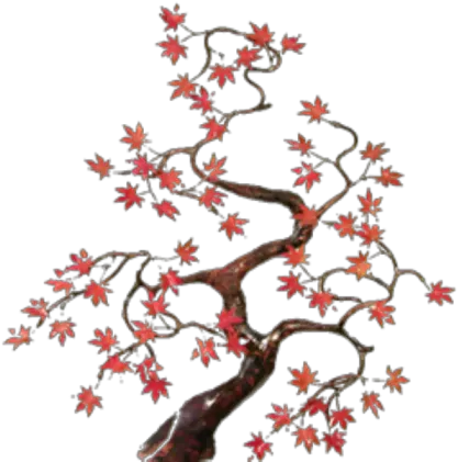 Japanese Maple Transparent Roblox Png Japanese Maple Png