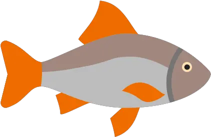 Roach Icon Free Download Png And Vector Goldfish Roach Png