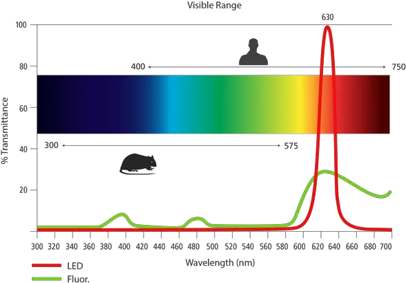 Vivarium Lab Lighting Plot Png Night Light Lamp Icon