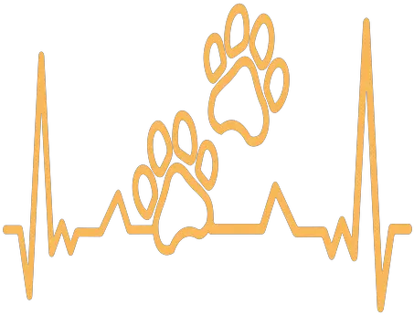 Heartbeat Paw Print Cardiogram Stroke Transparent Png Calligraphy Paw Print Png