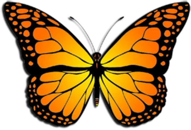 Monarch Butterfly Clipart August Monarch Butterfly Clipart Redbubble Stickers Blue Butterfly Png Butterfly Wing Png