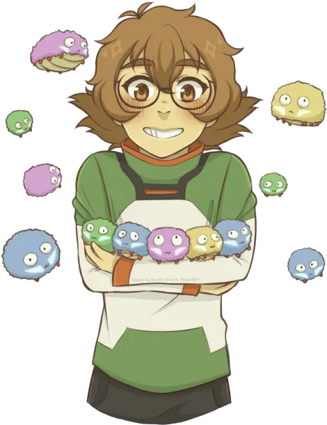 Voltron Paladins Paladin Lion Lions Powerrangers Green Pidge Voltron Background Computer Png Paladins Png